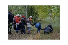 Preodolevaem_prepyatstviya