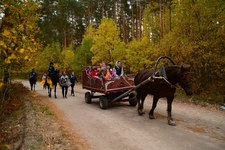 Selbau7jytg